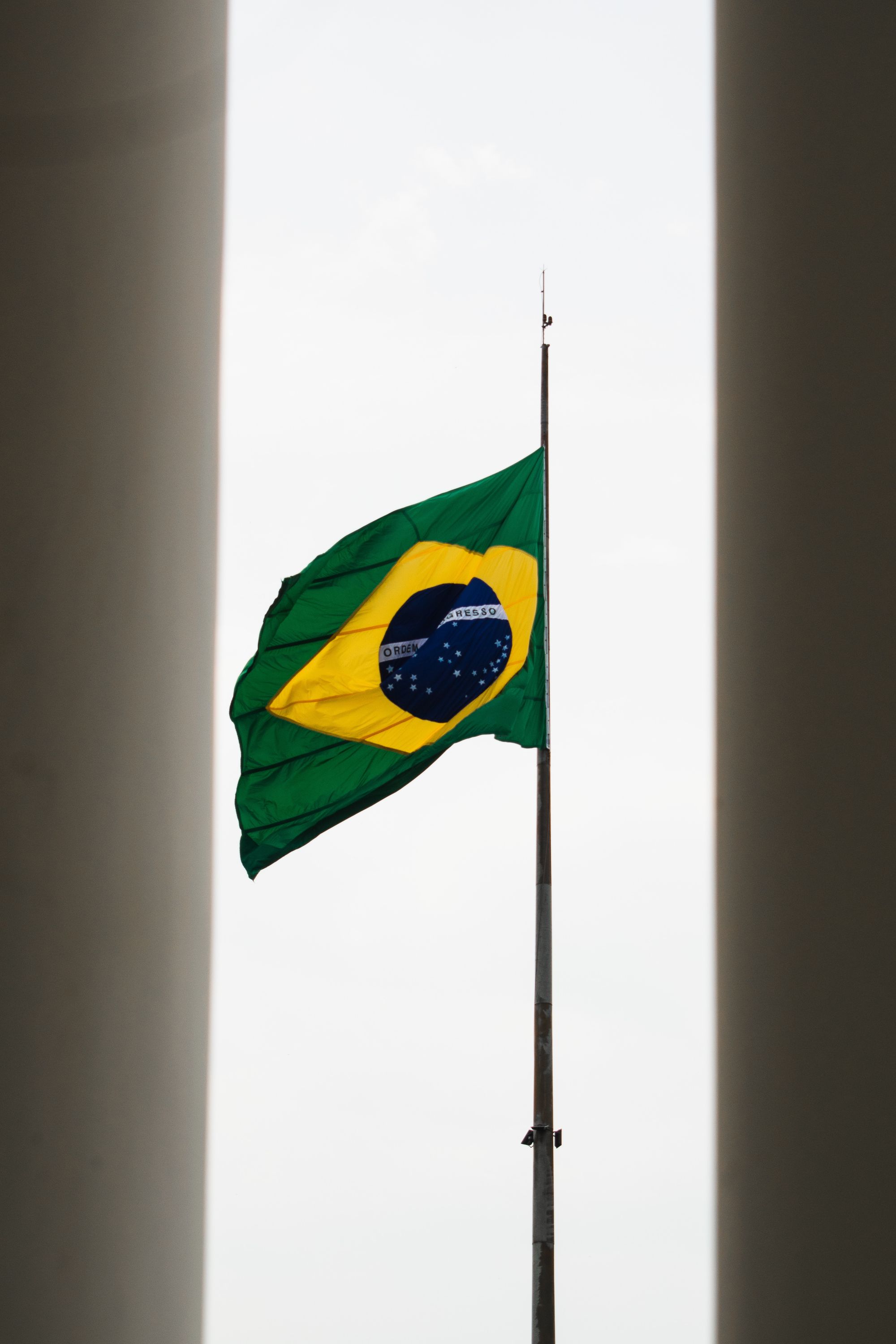 The Parliamentary Response to Covid-19 in Brazil: Overriding Vetoes as a Form of Legislative Resistance to Government Denialism